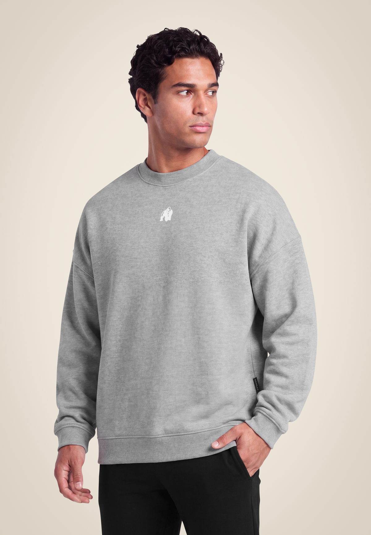 Gorilla Wear Leeds Oversized Sweater Hoodie & Sweatshirt Light Gray Melange
