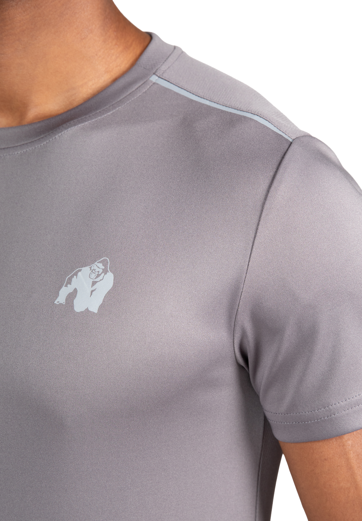 Gorilla Wear Easton T-Shirt T-Shirt & Tops Gray