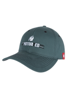 Gorilla Wear Hays Flexfit Cap Caps & Beanies Petrol