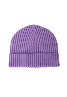 Gorilla Wear Maine Beanie Caps & Beanies Purple