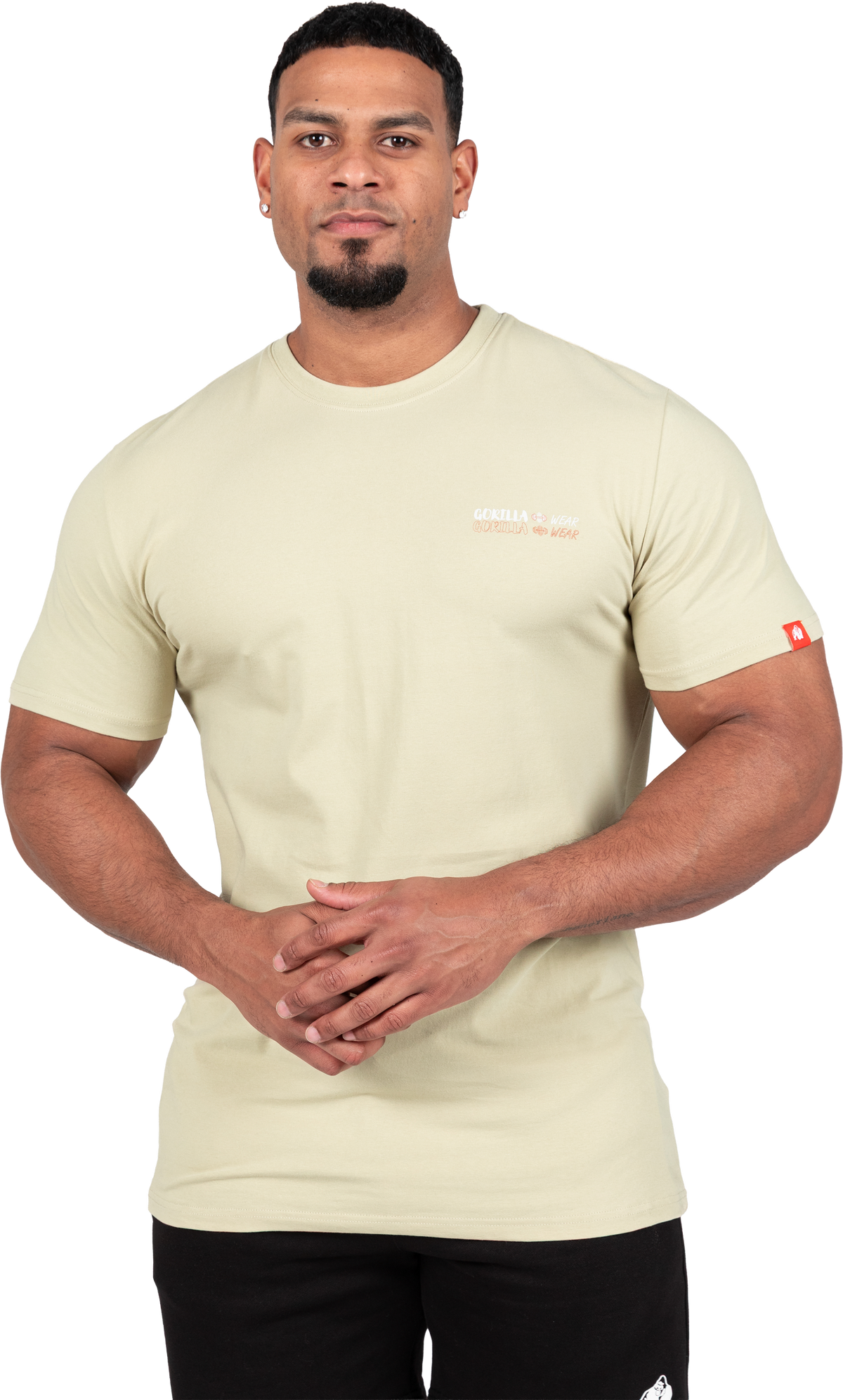 Gorilla Wear Santa Cruz T-Shirt T-Shirt & Tops Light Green