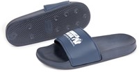 Pasco Slides Navy