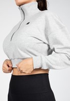 Ocala Cropped Half-Zip Sweatshirt Gray